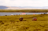 Jeep Tour